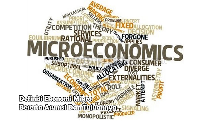Ekonomi Mikro