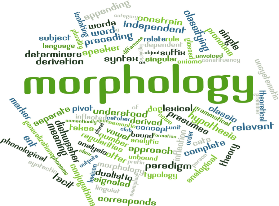 English Morphology