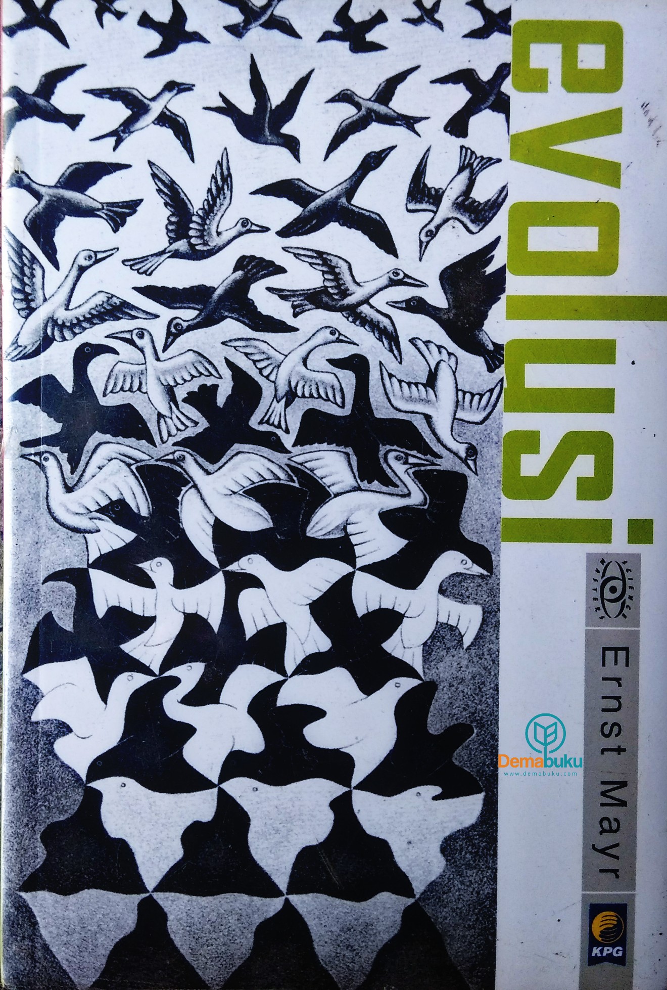 EVOLUSI 2020