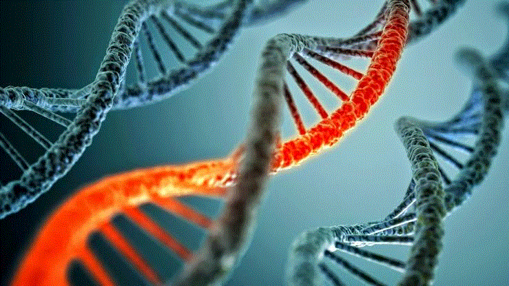 TA. 2020/2021 GENETIKA (BIOLOGI-4)