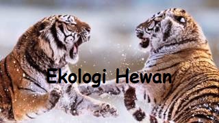 Ekologi Hewan 2020
