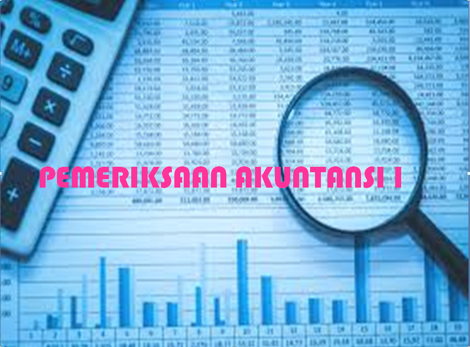 Pemeriksaan Akuntansi I