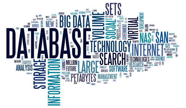 Database MJ IV-D Genap 2020/2021
