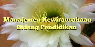 KEWIRAUSAHAAN - MIFTA