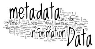 METADATA UNTUK PROFESI INFORMASI