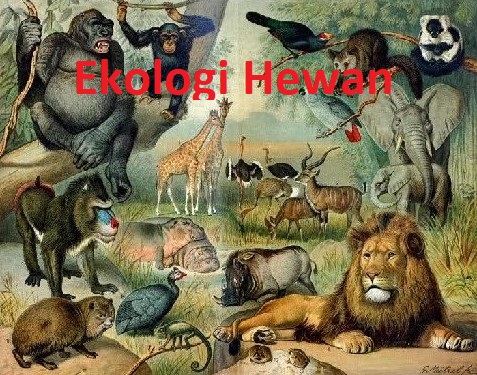 Ekologi Hewan 2021