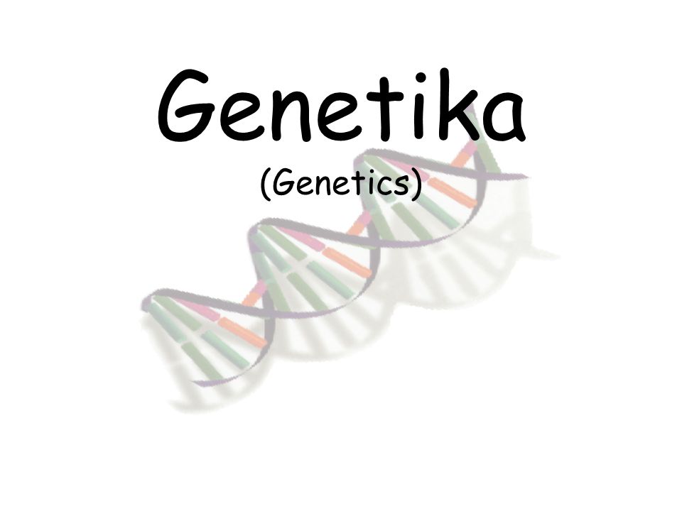 GENETIKA 2021/2022