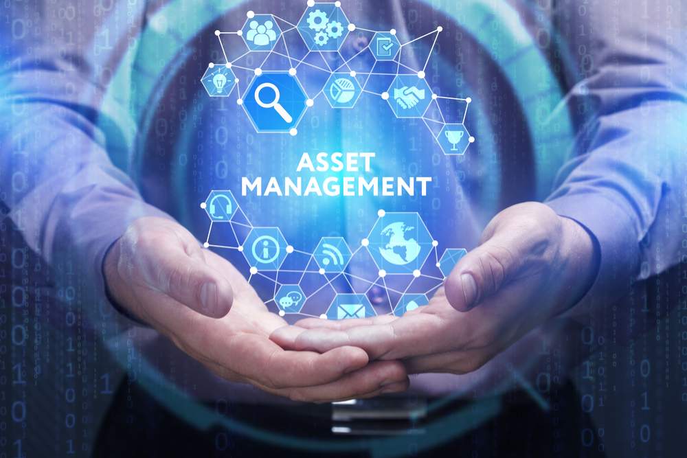 Investment and Asset Management