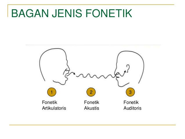 FONOLOGI