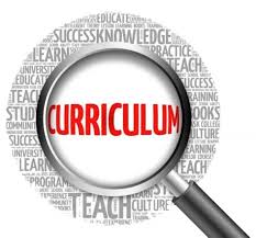Curriculum and Book Analysis (TBI-5)