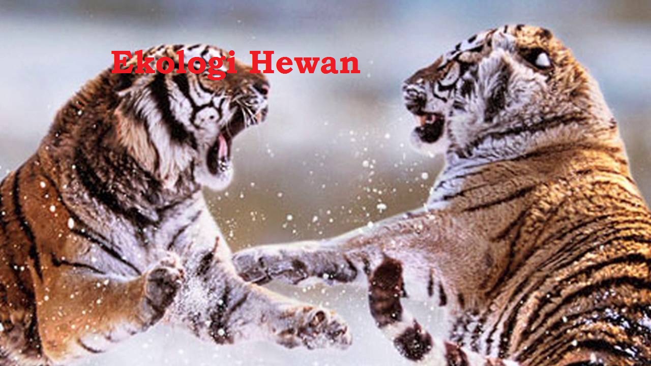 Ekologi Hewan