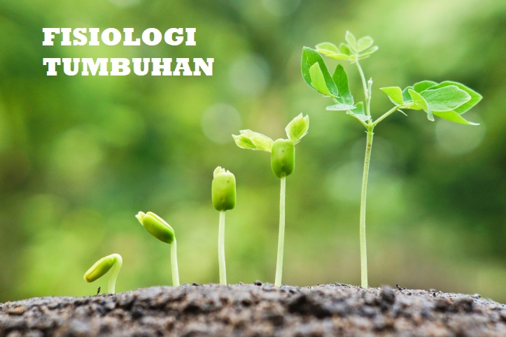 FISIOLOGI TUMBUHAN